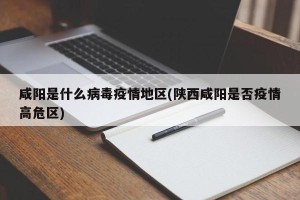 咸阳是什么病毒疫情地区(陕西咸阳是否疫情高危区)