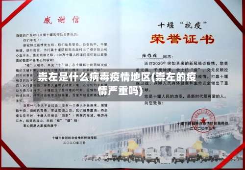 崇左是什么病毒疫情地区(崇左的疫情严重吗)-第2张图片