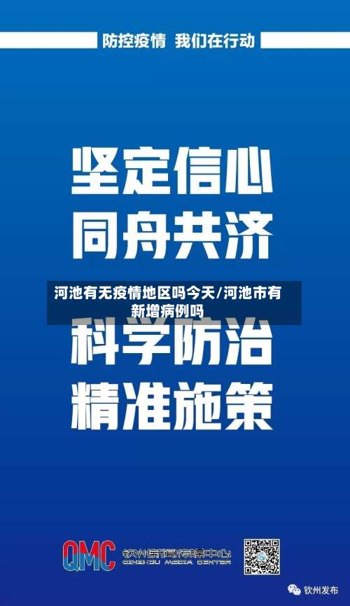 河池有无疫情地区吗今天/河池市有新增病例吗-第2张图片