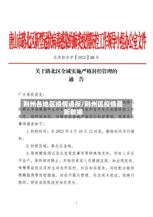 荆州各地区疫情通报/荆州区疫情最新数据-第2张图片